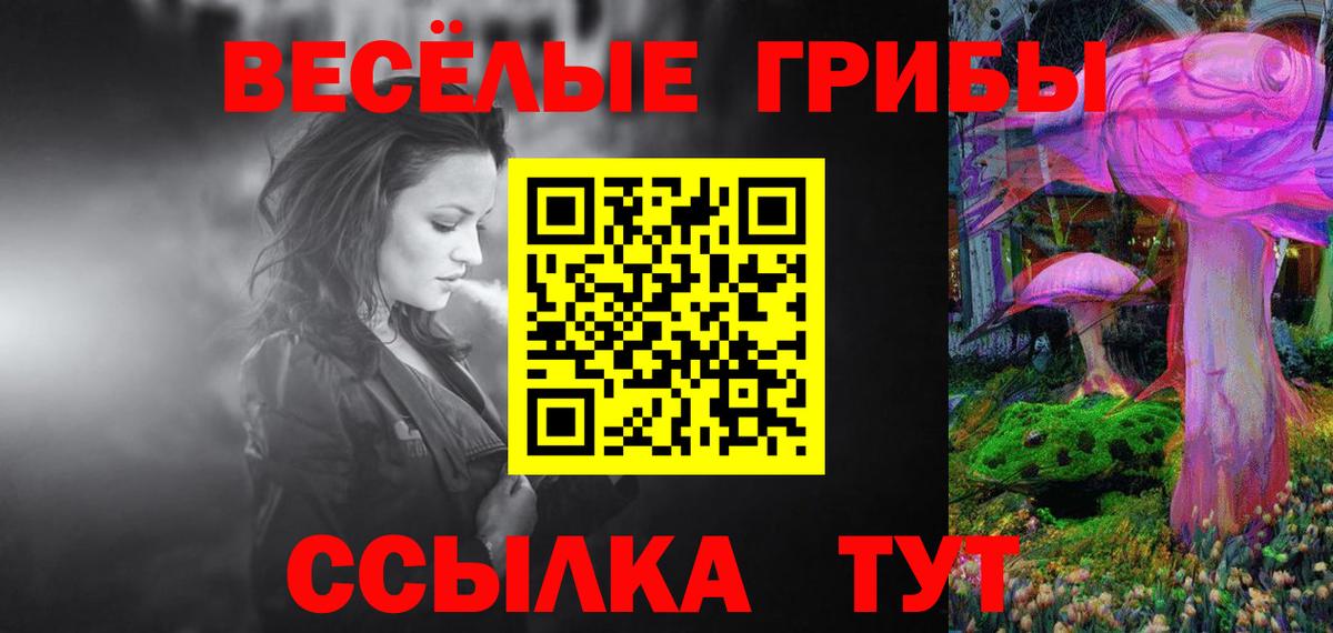 Галлюциногенные грибы Magic Shrooms  Вход с VPN  Славгород  Галлюциногенные грибы GOLDEN TEACHER 